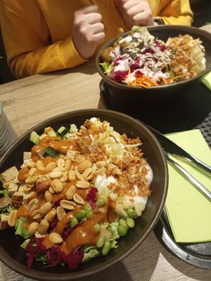  at Immergrün in Ulm