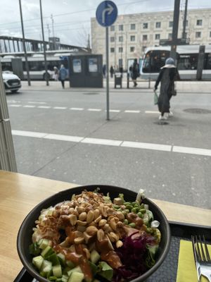   at Immergrün in Ulm