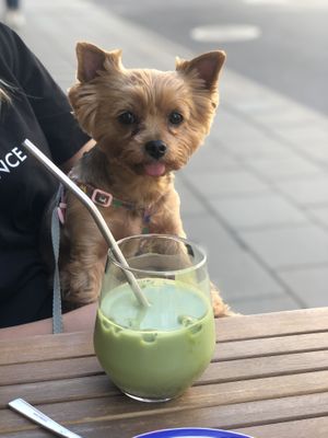   at KIRAS - PC Europa in Vilnius