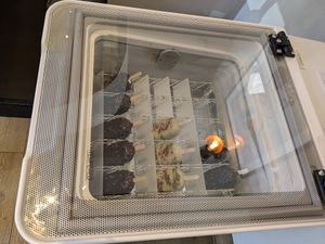  at Julietta Pastry and Lab in Rome