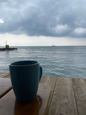   at Pink Flamingo in Utila