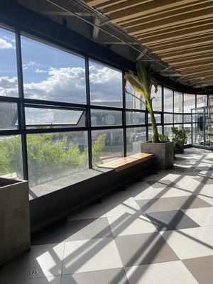 Lots of natural lighting   at Herbívoro - La Felicidad  in Bogota