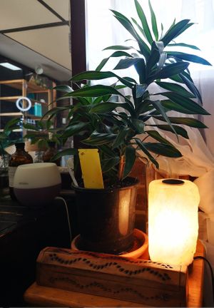  at Hair & Heart in Warnbro