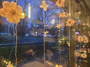 So cosy! And there was even a cat! at Olivka in Almaty