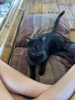   at Ja-Ey Cafe in Pai