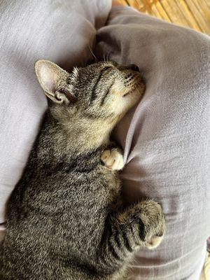 💖  at Ja-Ey Cafe in Pai