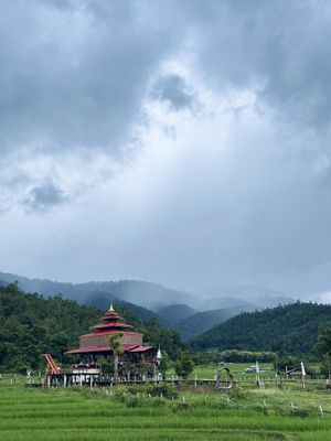 Gorgeous view over the bamboo bridge 🎋  at Ja-Ey Cafe in Pai