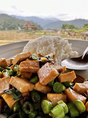 Stir-fried tofu with basil/pad gaprao (80 THB)  at Ja-Ey Cafe in Pai