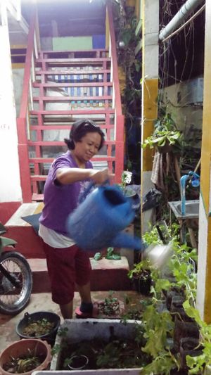 Watering the plants at the restaurant at Mama Sababa in Vang Vieng