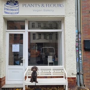  at Plants & Flours in Berlin