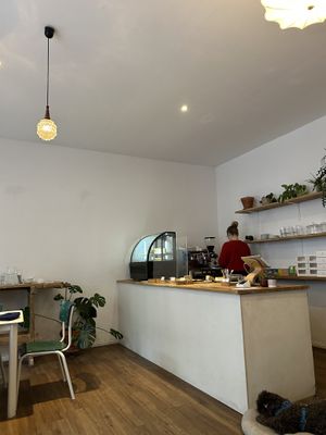 Cozy place   at Plants & Flours in Berlin