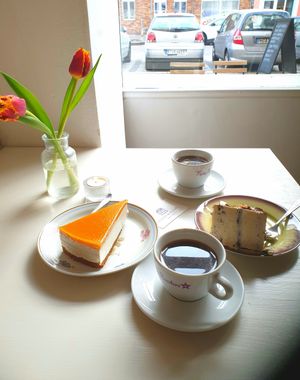 Vegan cakes at Plants & Flours in Berlin