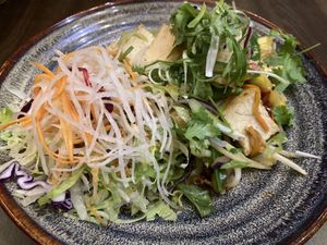 Tofu and salad  at Saigon in Timmendorfer Strand