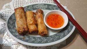 Delicious Vegan Fried Spring Rolls! at Van Hanh Restaurant in Portland