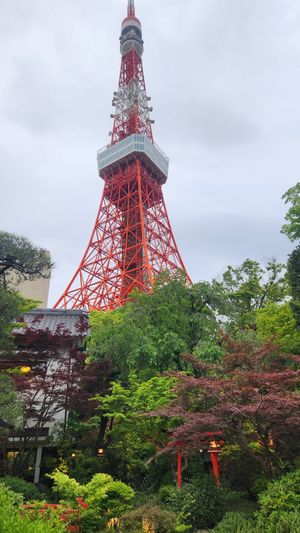  at Tofuya Ukai in Tokyo