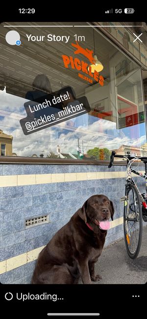   at Pickles Milk Bar in Carlton North