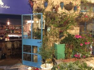 Eucalyptus  at Eucalyptus in Jerusalem