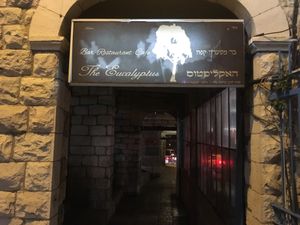 Eucalyptus  at Eucalyptus in Jerusalem