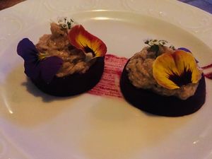 Eucalyptus  at Eucalyptus in Jerusalem