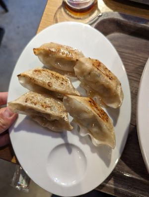 Gyoza- super tasty! Could eat 3 plates of them at VeJin Tokyo Vege Ramen  in Tokyo