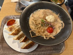 No. 3. Soy Sauce Special with Vegetable Gyoza at VeJin Tokyo Vege Ramen  in Tokyo