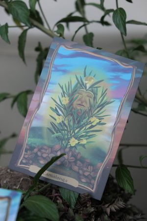  at QANTU in Urubamba