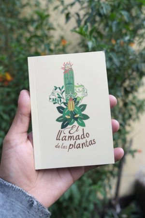  at QANTU in Urubamba