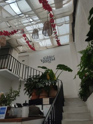 Interior at Café Vegetal - Coyoacán in Mexico City