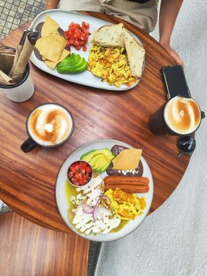   at Café Vegetal - Coyoacán in Mexico City