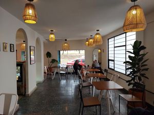  at Café Vegetal - Coyoacán in Mexico City