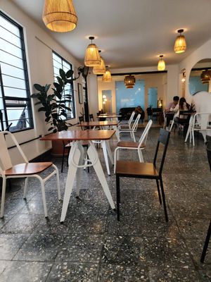 Interior at Café Vegetal - Coyoacán in Mexico City