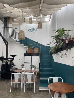   at Café Vegetal - Coyoacán in Mexico City