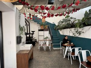 Interior  at Café Vegetal - Coyoacán in Mexico City