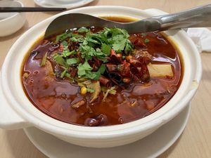 Szechuan beef stew at Veggienius in Taipei