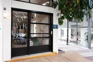 Soybird Studio Athens at SOYBIRD - Vegan Cooking Experience in Athens