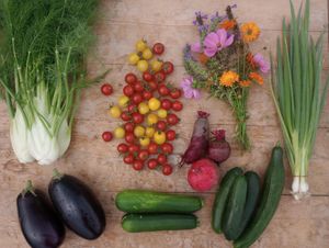 Wildraum - Veggie box at Wildraum in Heidelberg