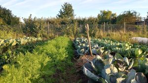 Wildraum Mikrofarm at Wildraum in Heidelberg