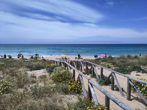  at Homies! Café & Restaurante in Vejer De La Frontera