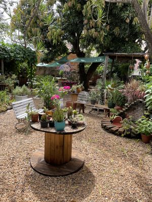 Outdoor area  at Manjericão do Quintal Veg in Piracicaba