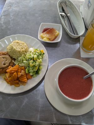 Meal of the day, veggie patty, carrots, salad, rice, soup, drink, dessert at Tienda & Cocina Vegetariana in Medellin
