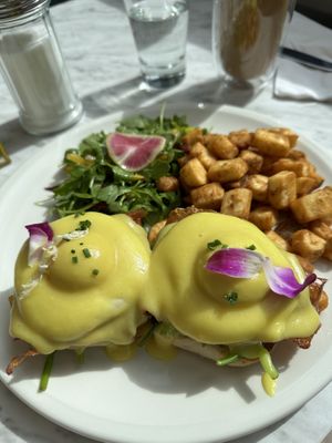   at Evviva - Wellesley in Toronto