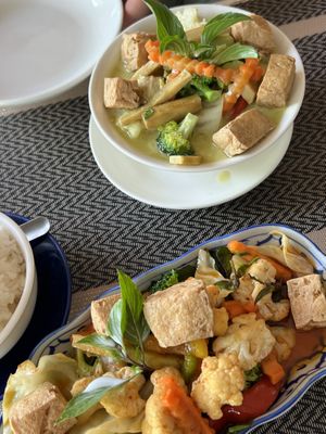Both vegan dishes, green curry with tofu and Penang with tofu   at Happy Mango in Vang Vieng