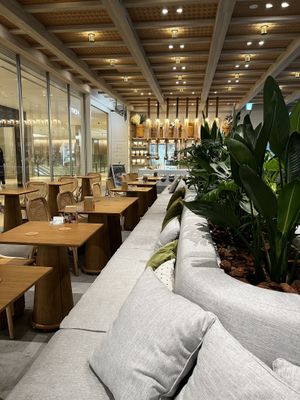   at Alchemy Tokyo -Azabudai Hills - アルケミー in Tokyo