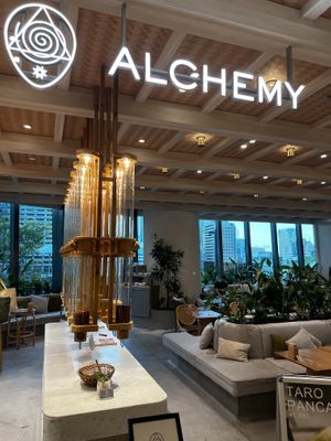   at Alchemy Tokyo -Azabudai Hills - アルケミー in Tokyo