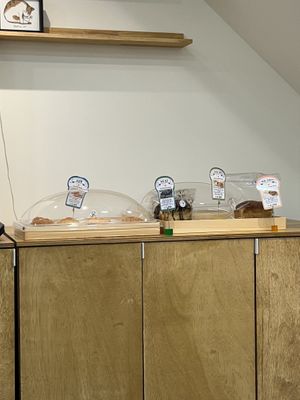   at Rainbow Crust in Busan