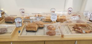  at Rainbow Crust in Busan