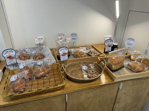   at Rainbow Crust in Busan