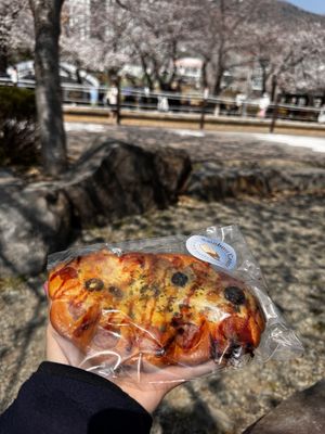 Vegan pizza with tomato sauce, cheese and sausage + olives  at Rainbow Crust in Busan