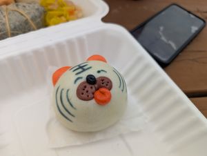  at Zensation  in Fredericton