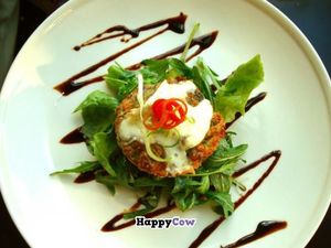 Symbiose at Symbiose in The Hague